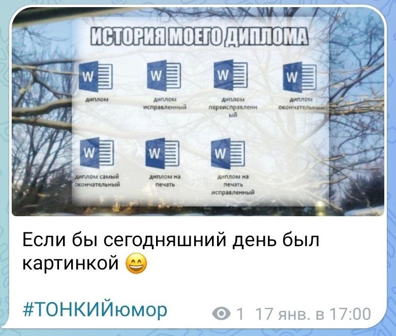  Пишу не диплом, суть в правках текста. Но из мема слов не выкинешь 😆