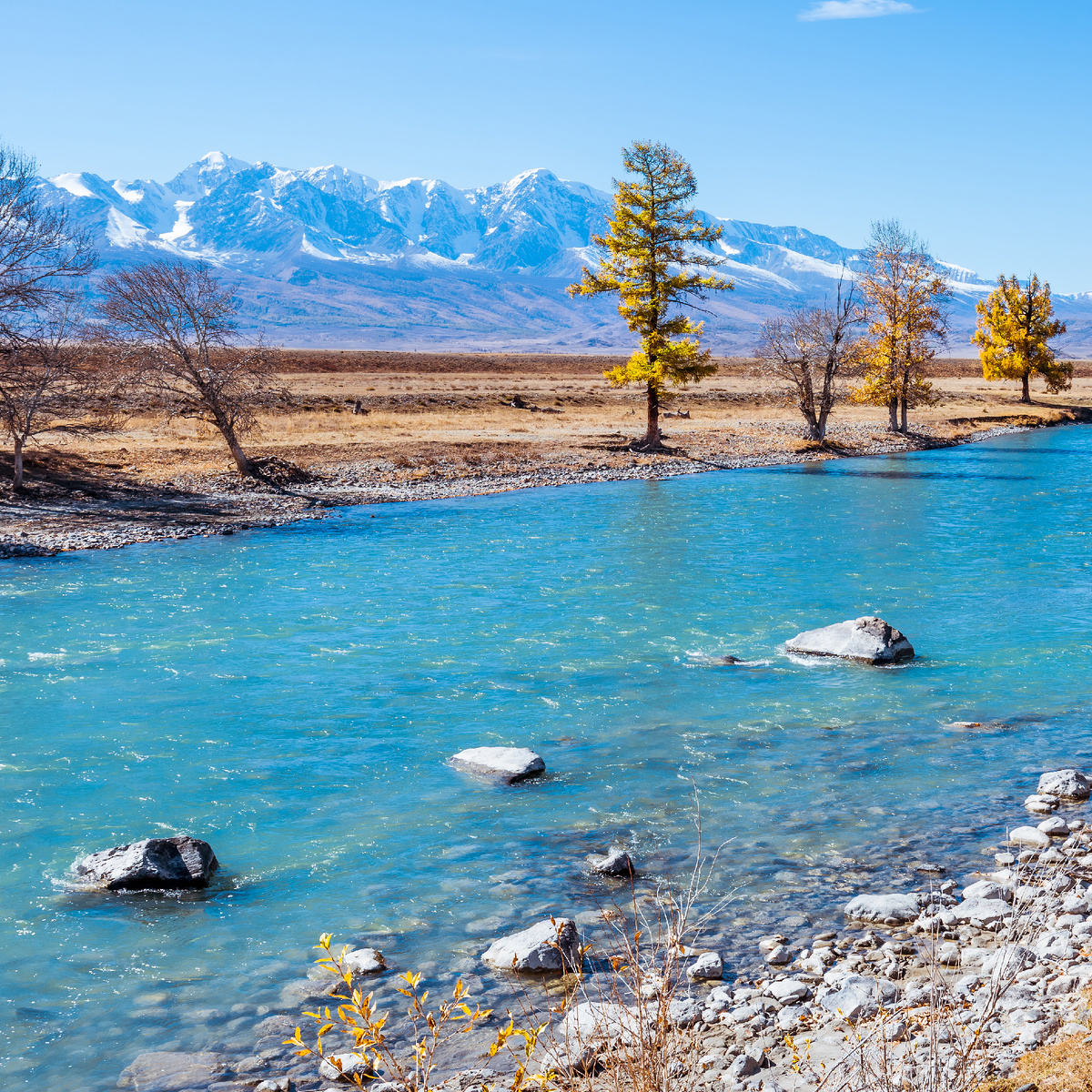 Река Чуя. Кош-Агачский район горный Алтай