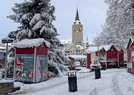    Швейцария намерена сократить выделение денег на украинских беженцев из-за их нежелания работать