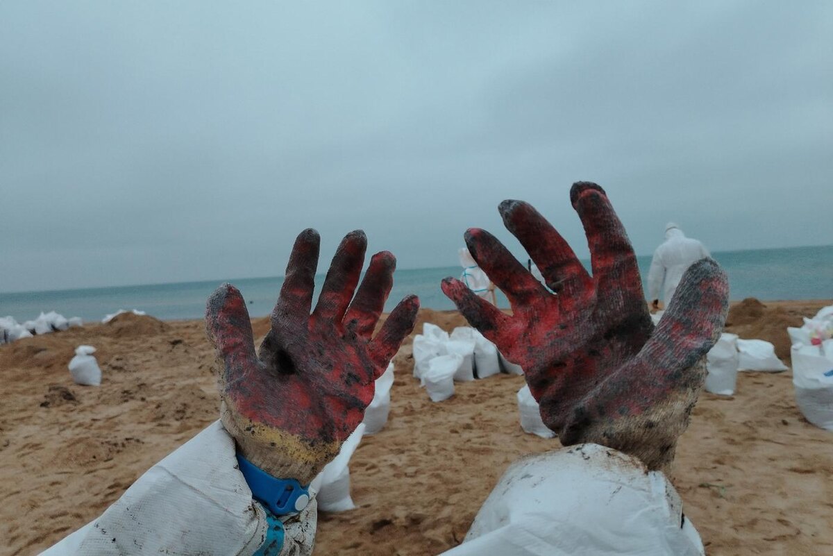 Мазут продолжает приносить с каждым приливом. предоставлено волонтёрами