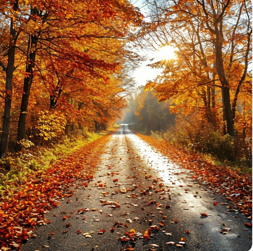 Осень и солнце,  --взято из личного кабинета с целью ознакомления. 