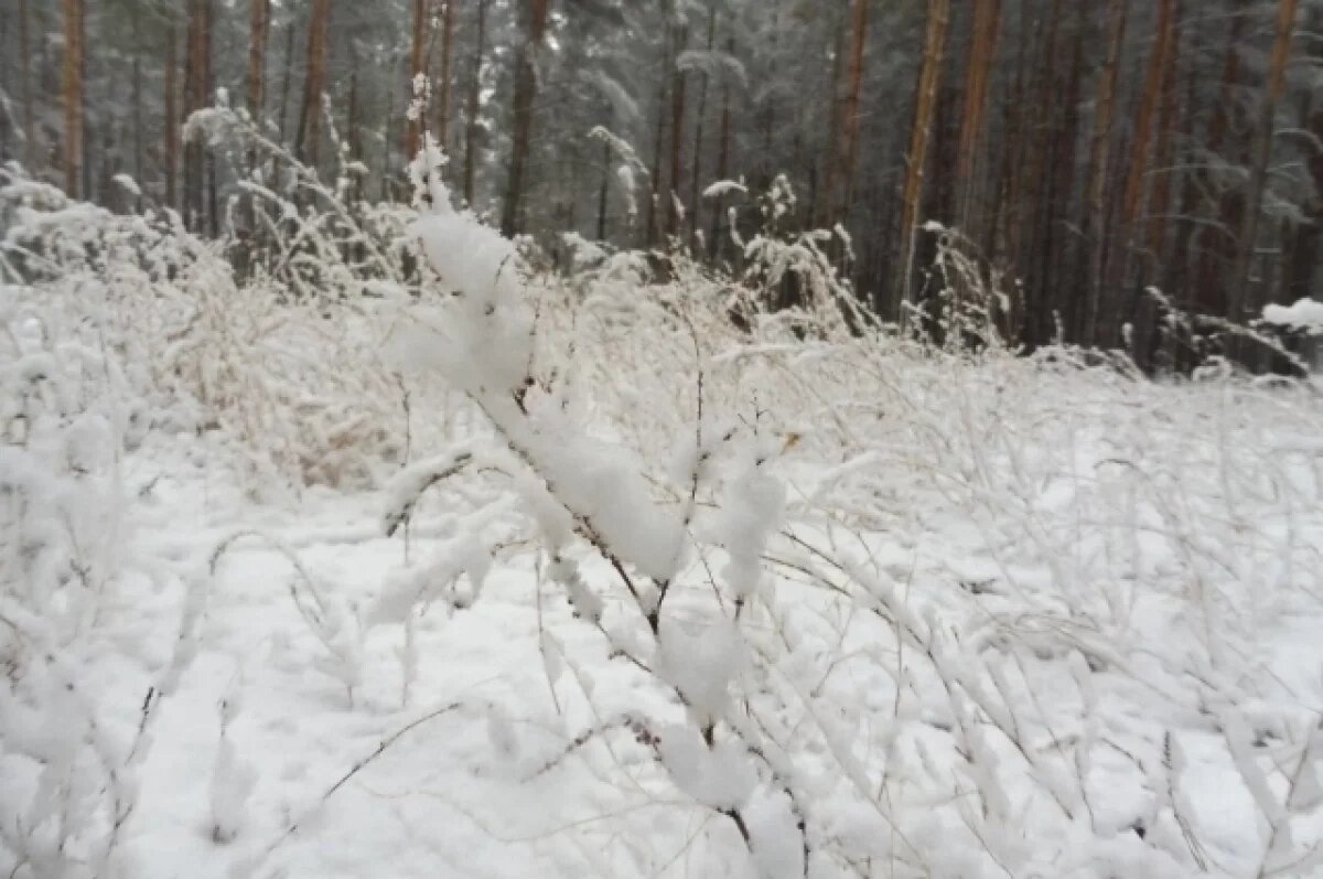    Воронежцев ожидает похолодание до -18 градусов