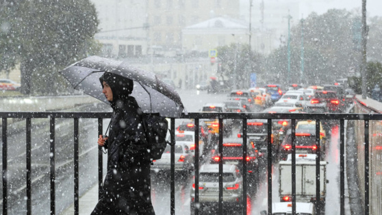    "Желтый" уровень опасности объявили в Москве из-за налипания мокрого снега Виктория Шварц
