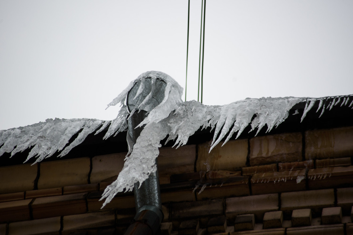    Фото: «Республика» / Николай Смирнов