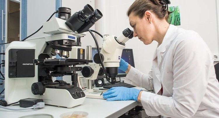    Свыше 4,3 млн тонн сельхозпродукции проконтролировано в Азово-Черноморском филиале ФГБУ «ЦОК АПК»