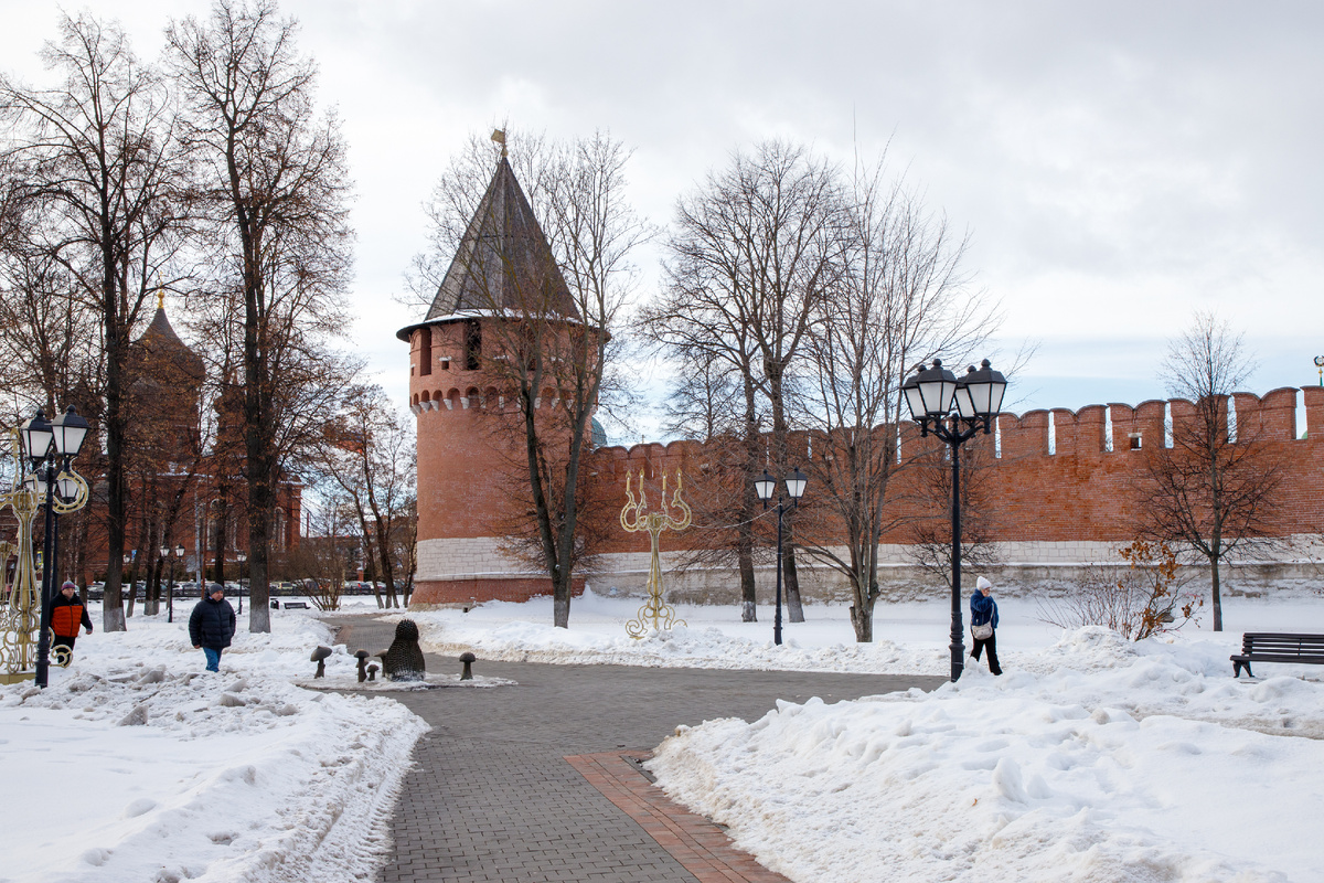Фото: Тульская служба новостей