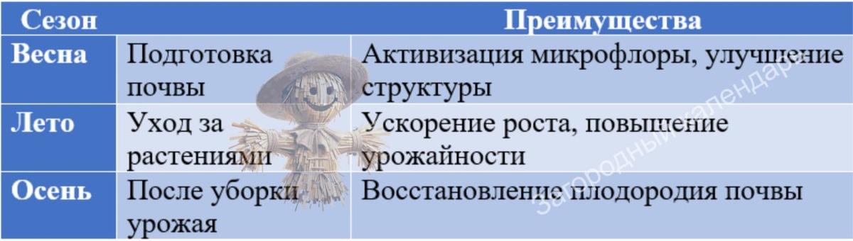 Когда применять 33 богатыря