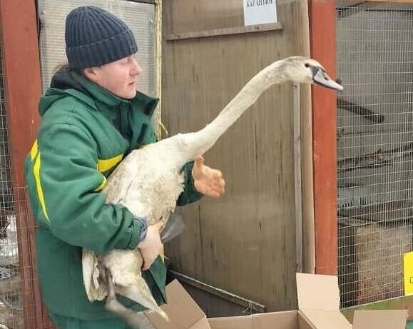     Фото: ГУ ТО «Тульские парки»