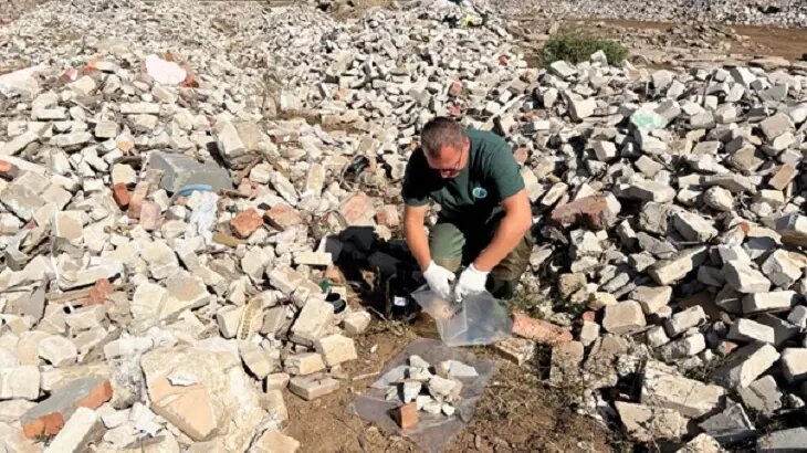     Источник: Фото Нижне-Волжского межрегионального управления Росприроднадзора