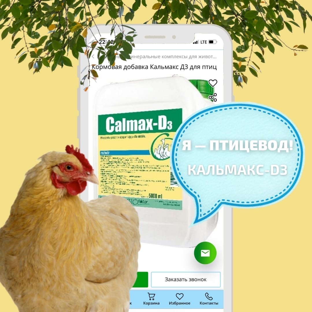 Кальмакс-D3 - для нормализации фосфорно-кальциевого обмена