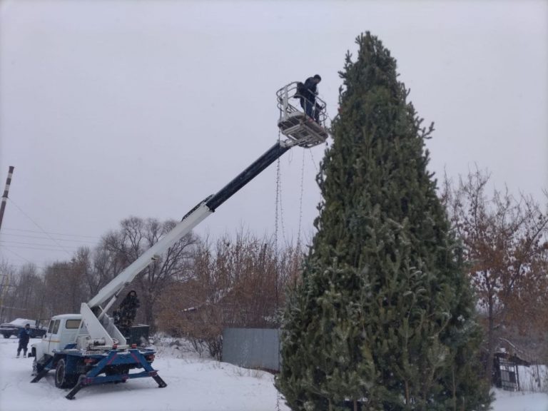    В Оренбурге начали разбирать новогодние ёлки Оренбуржье