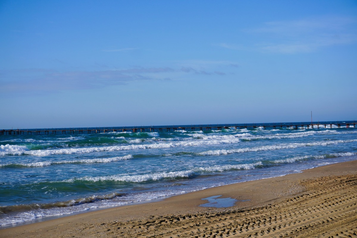    Последствия экокатастрофы ликвидируют спасатели и волонтёры. Фото: Екатерина Новикова
