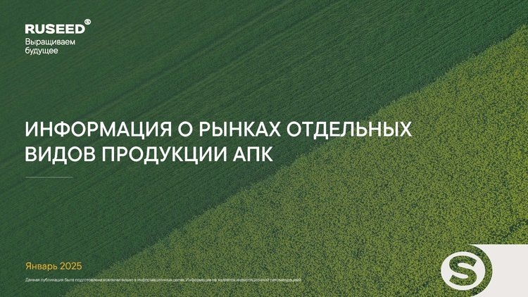    Обзор от аналитического центра RUSEED по следам прогноза USDA о производстве масличных культур на 2024/25 год