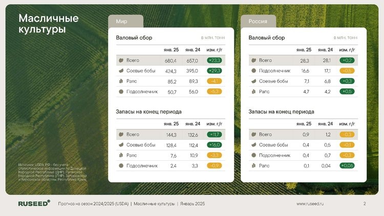     Обзор от аналитического центра RUSEED по следам прогноза USDA о производстве масличных культур на 2024/25 год
