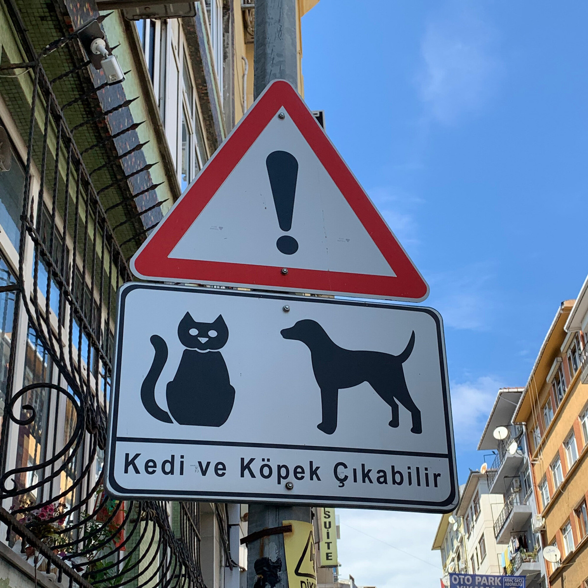 В Турции трепетно относятся к уличным животным. Такие дорожные знаки предупреждают, что дорогу могут переходить коты и собаки. Фото: Алексей Шабельский