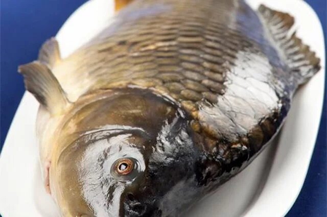    Что за мем про «дуреет с этого прикорма»?