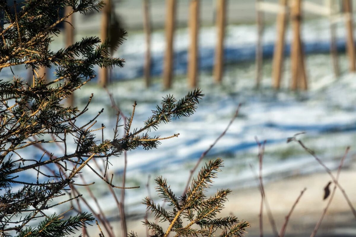    В четверг на Белгородчине выпадут осадки