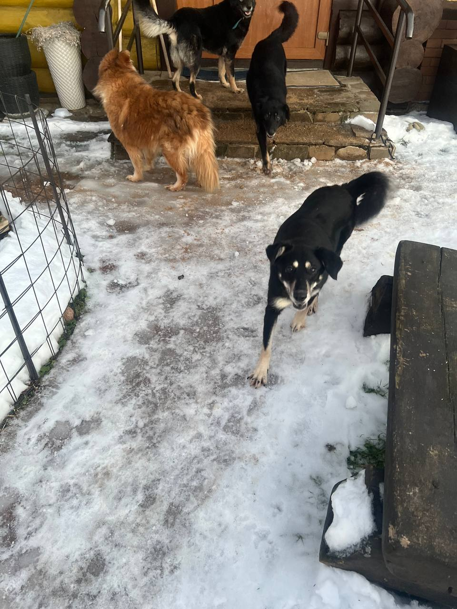 Клепа что-то от меня хочет...только вот не могу догадаться, что конкретно)