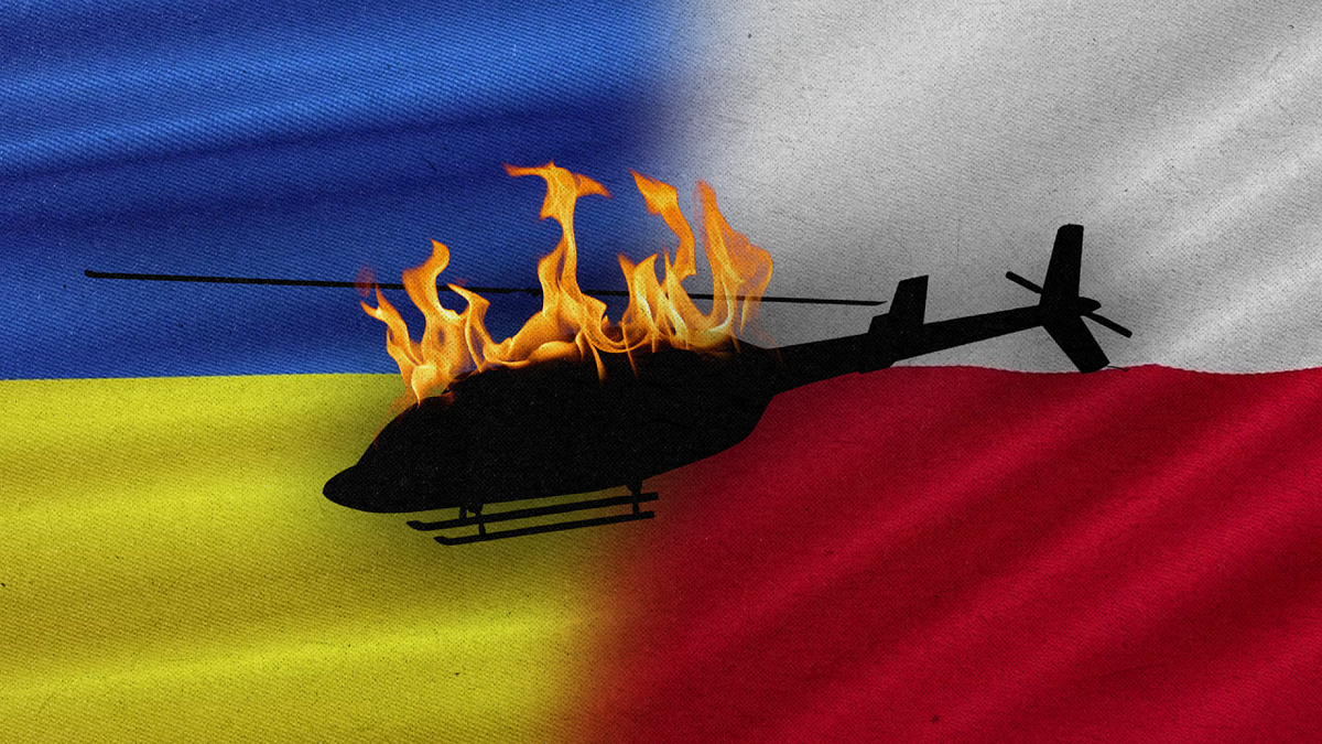    Изображение: телеканал «Краснодар»