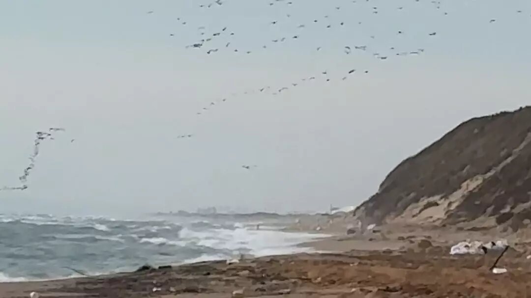     Источник: novostivolgograda.ru