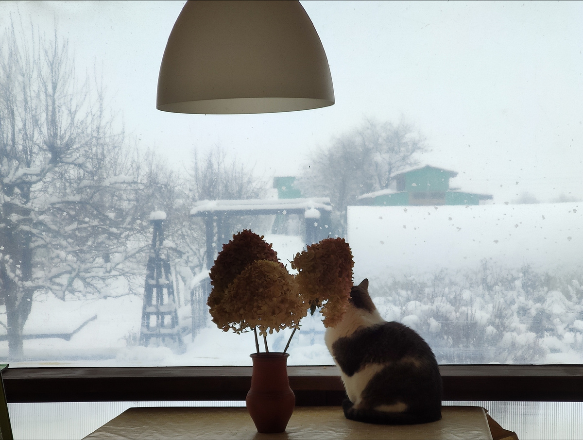 Ждём весну...