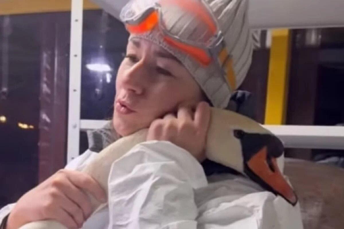    Испачкавшийся в мазуте лебедь сам пришел к людям за помощью в Анапе