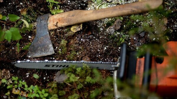    © Sputnik / Константин Чалабов