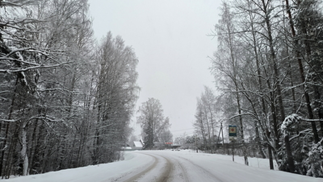    Фото: Maksim Konstantinov/Globallookpress