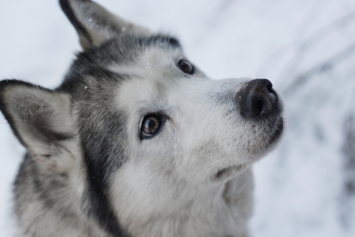 Это Дарья, ей 15 лет