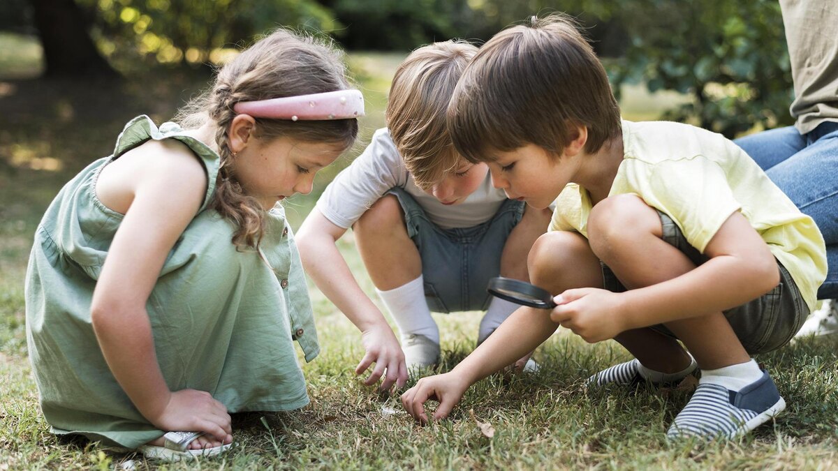    Фото: freepik.com