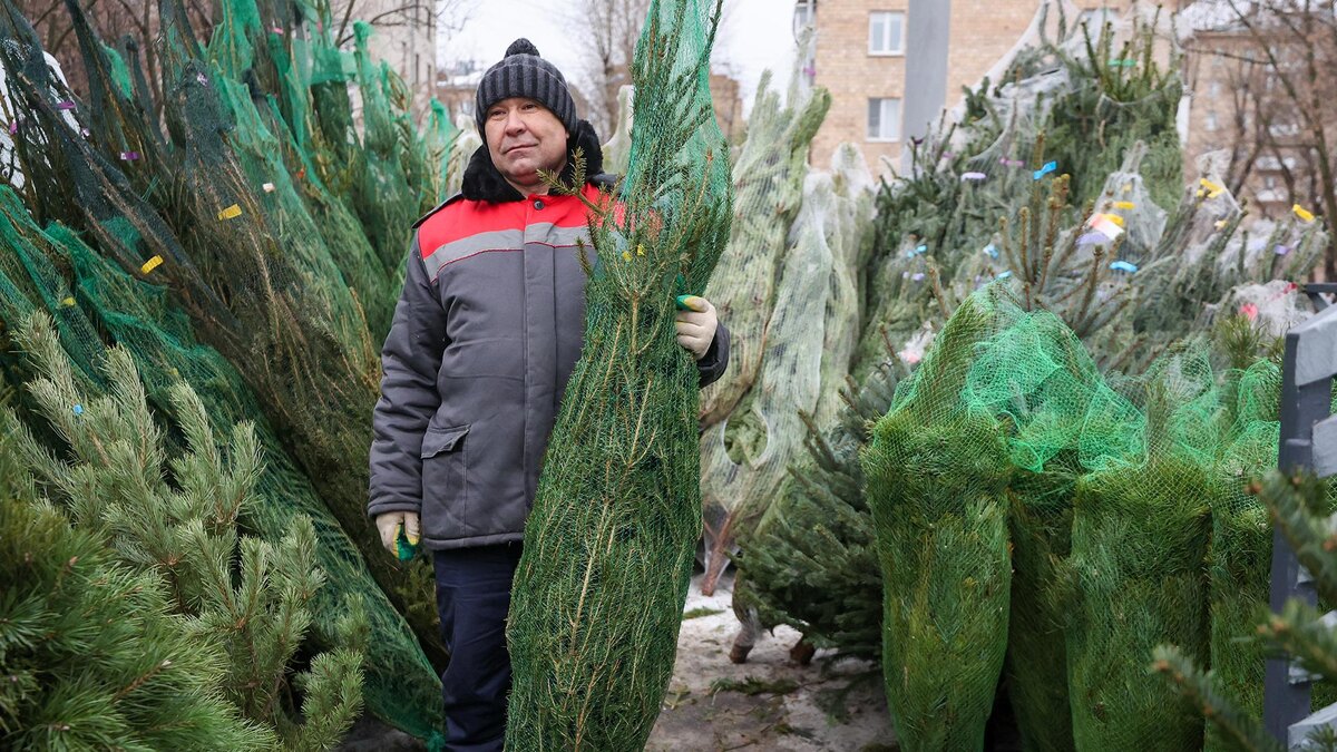    Фото: Belkin Alexey/globallookpress.com