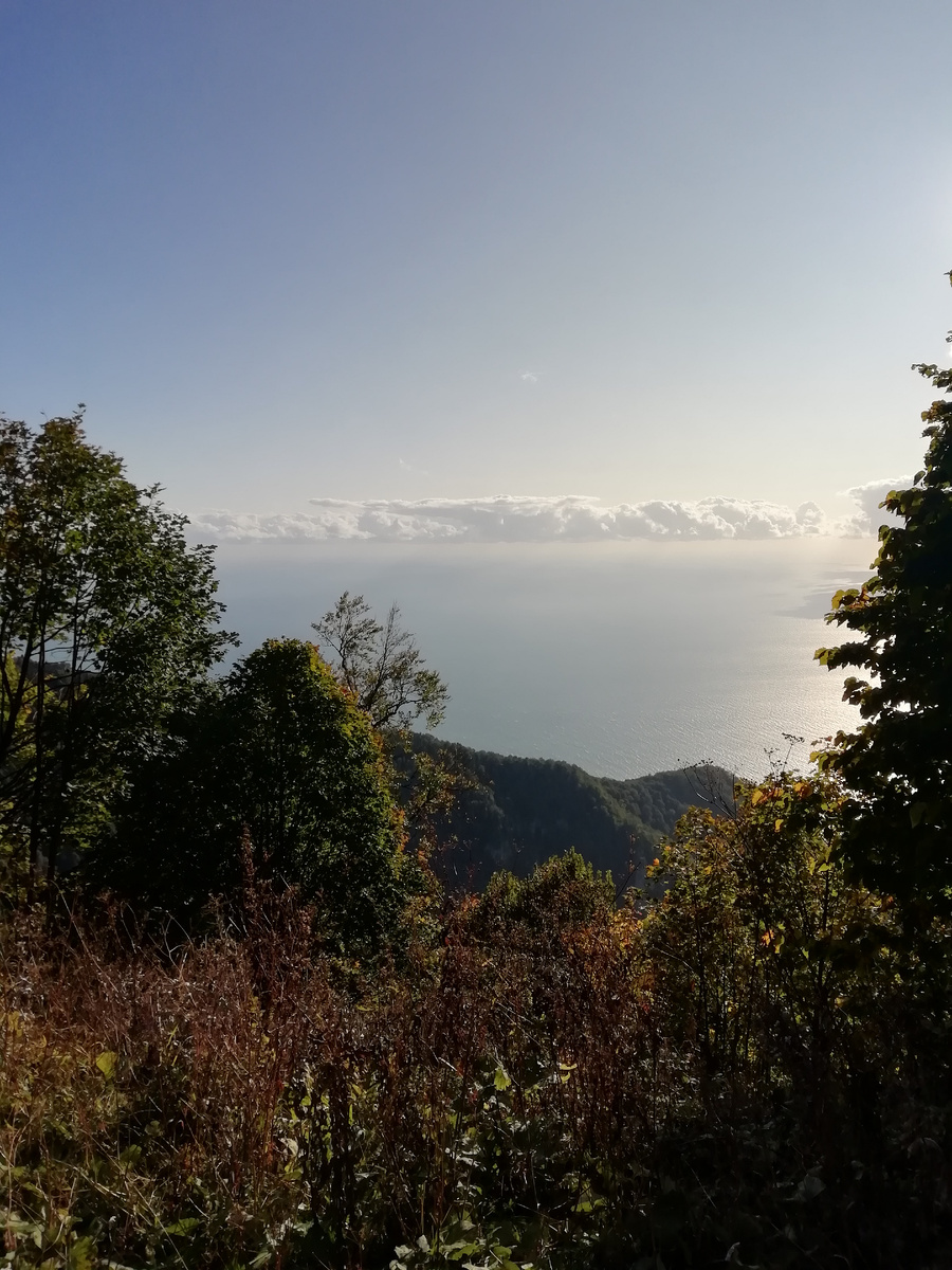 Все выше и выше, и выше...