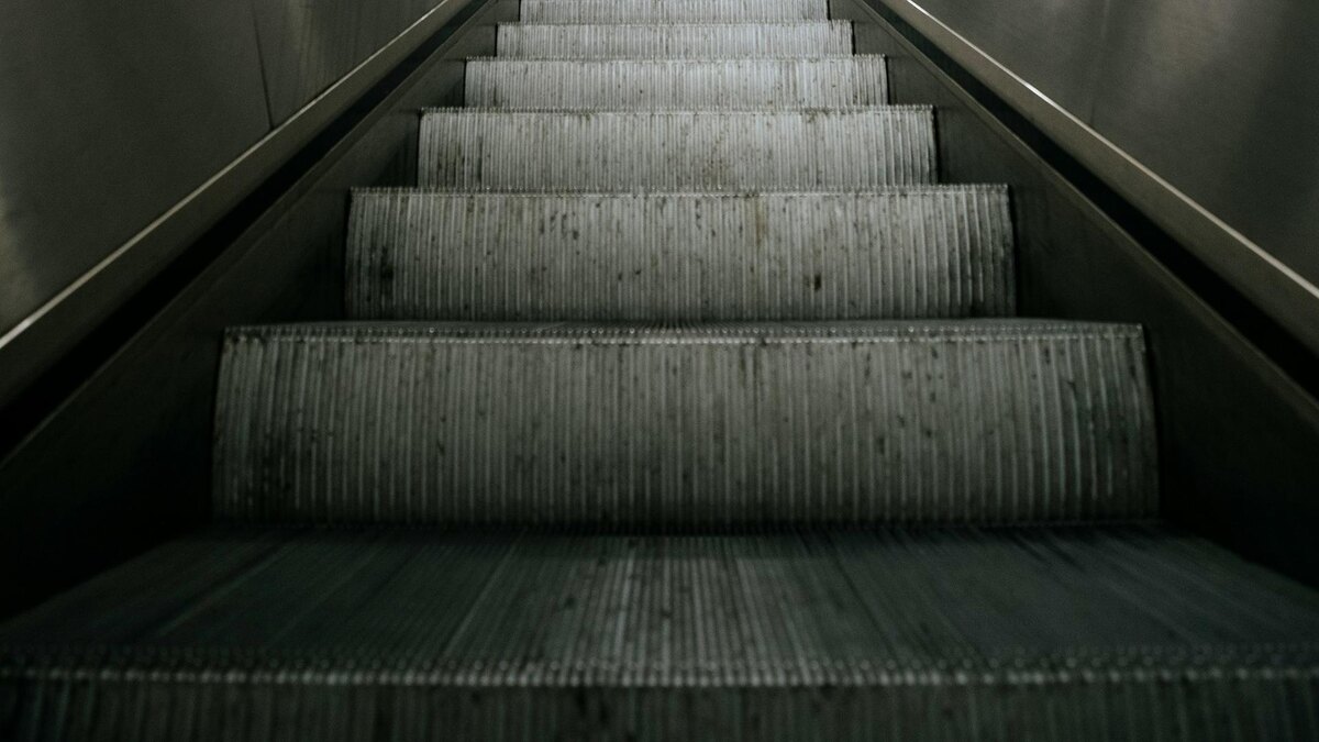    Фото: unsplash.com