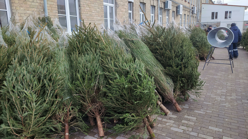    Фото: Victor Lisitsyn/Globallookpress