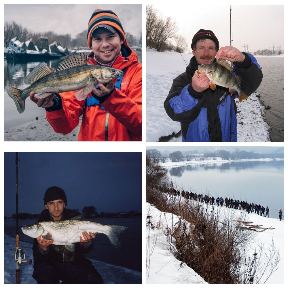 Фотографии взяты из открытых источников.