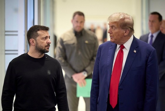    Дональд Трамп и Владимир Зеленский