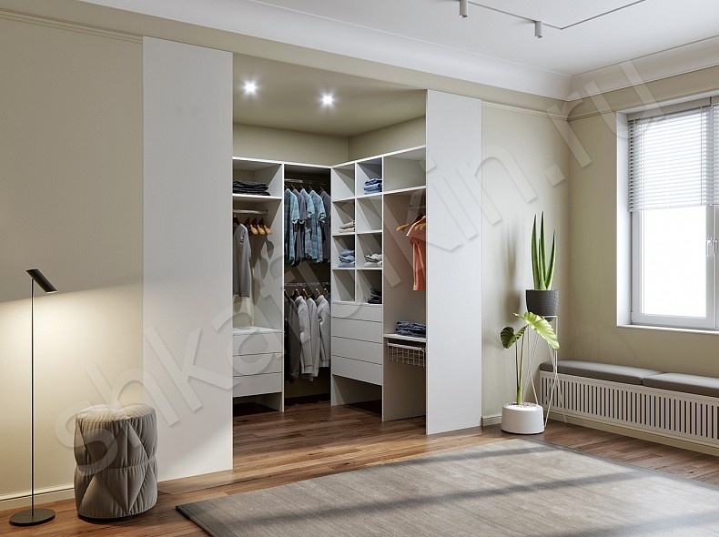 Шкафулькин