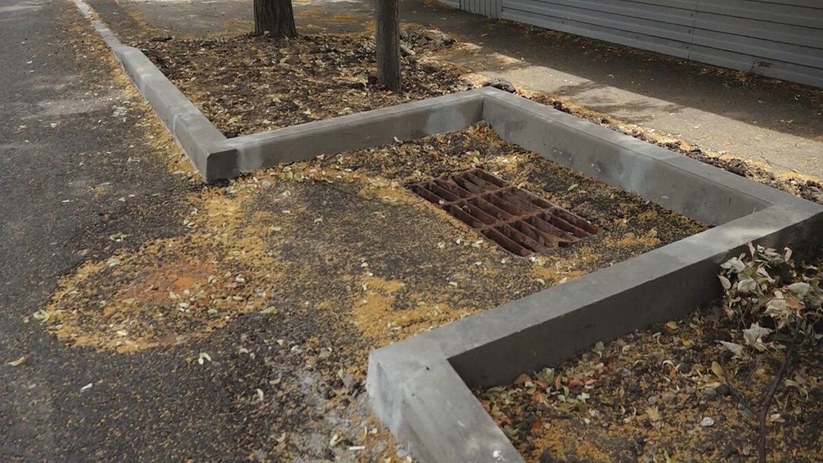    Фото: телеканал «Краснодар»