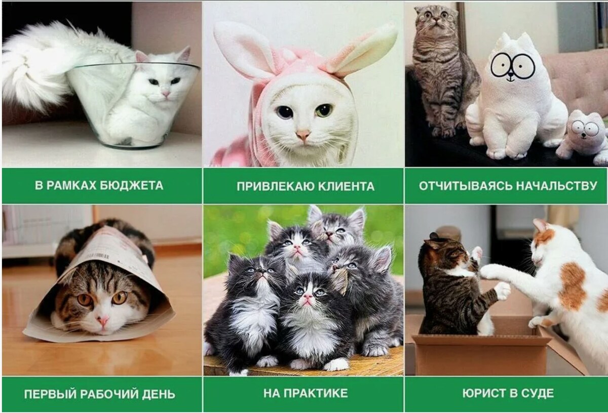 источник Яндекс-картинки