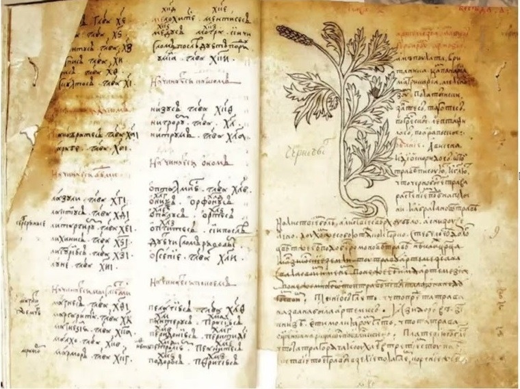 Вариант оформления древнерусских травников бывших в ходу у казаков (XVI век)