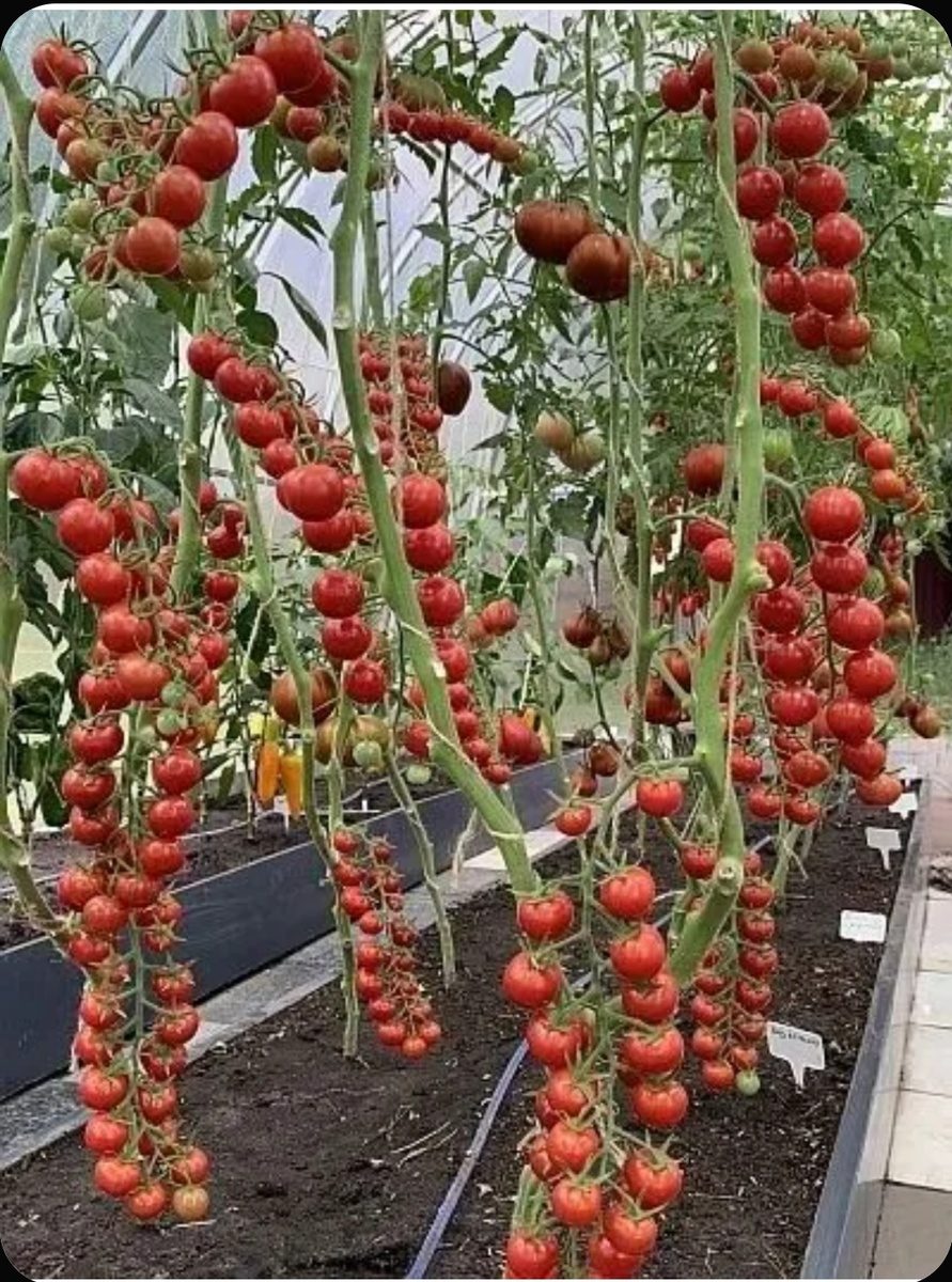 Красиво, однако!