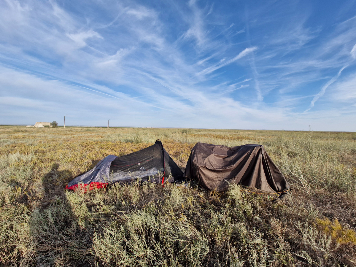Солнечное утро в чистом поле