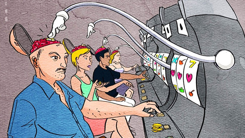 фото из открытых источников. 