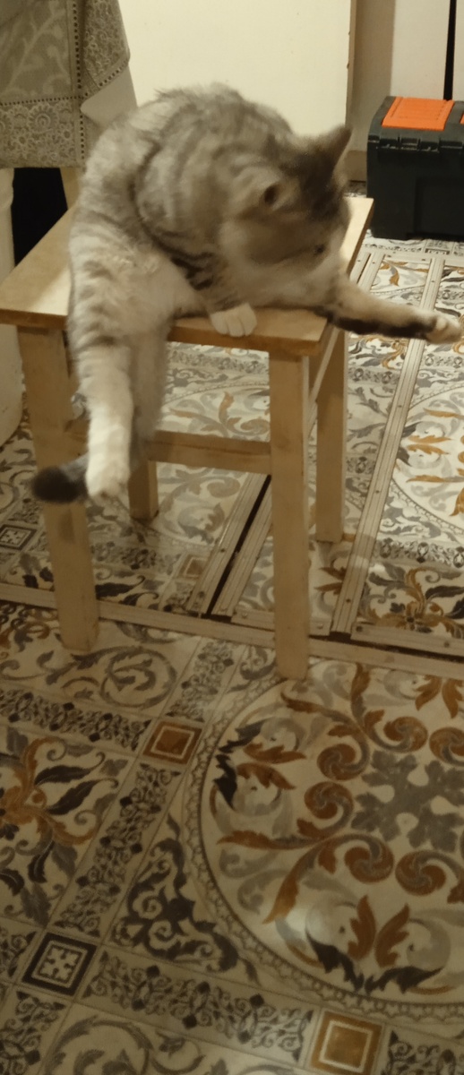 Ну не про этот на который смотрит кот,но пусть будет