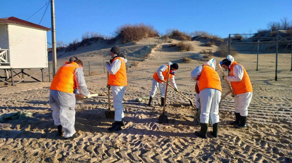 Фото: Пресс-служба администрации Краснодара