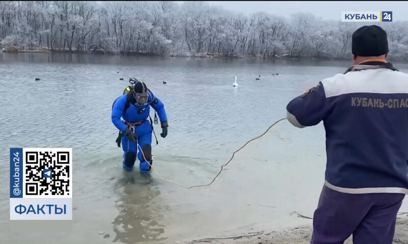    Видео канала «Кубань 24»