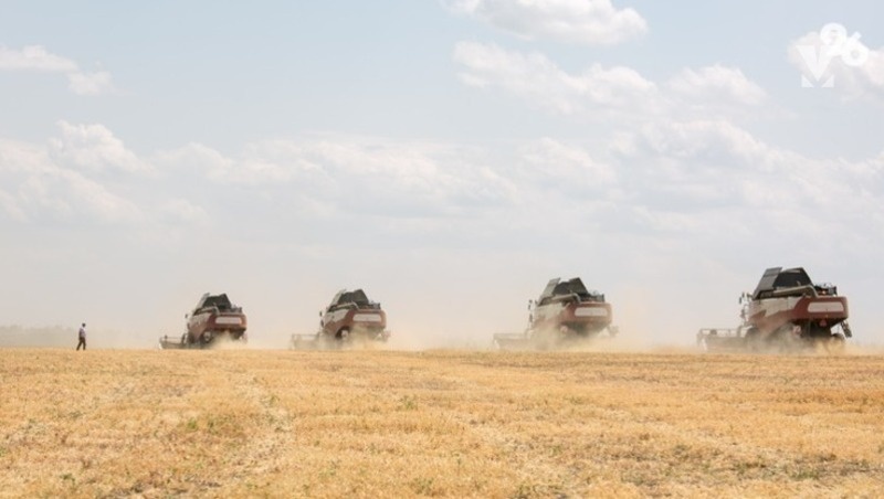      Фото: ИА «Победа26»