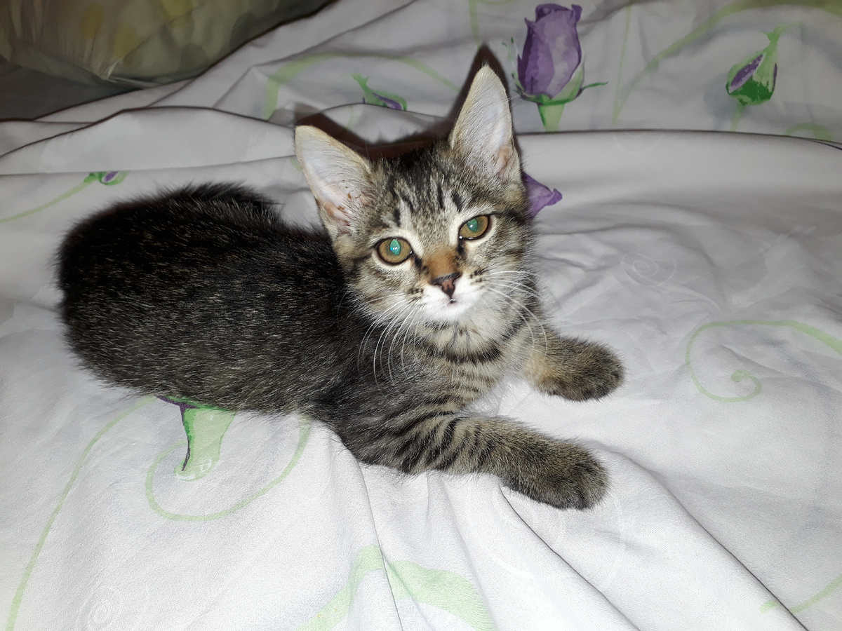 Спустя несколько дней после лечения