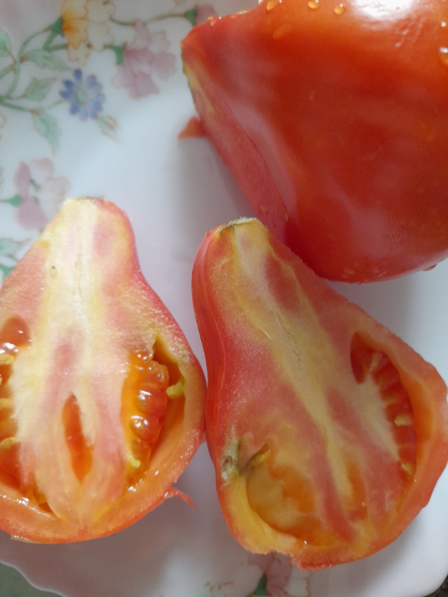 Фото автора. Не повезло с Пузатой хатой, которой половина рассады была