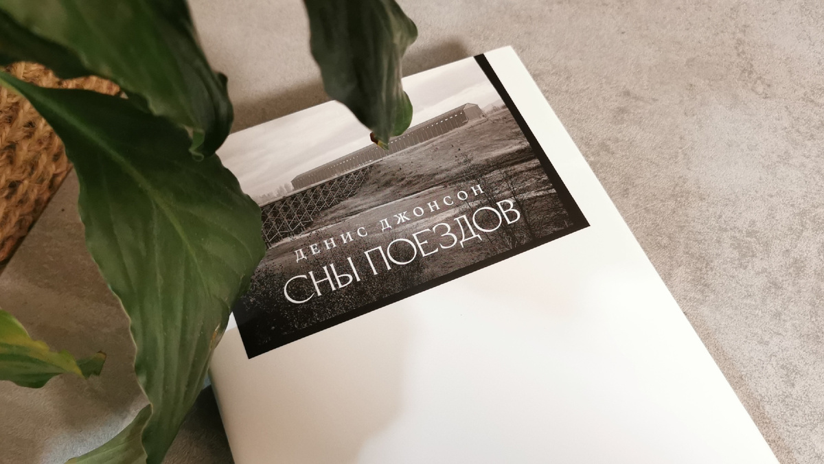 Денис Джонсон «Сны поездов», издательство Синдбад. Фото из личного архива автора канала